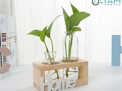 Bộ khung gỗ chữ nhật kèm lọ thuỷ tinh cắm hoa thuỷ canh [3 màu - 3 size] BINHLOHOA-05